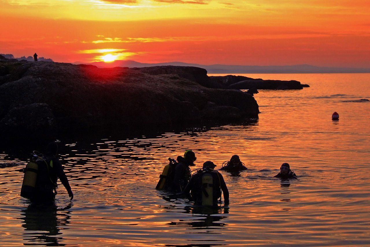 People Getting in the Ocean for a Sunset Dive