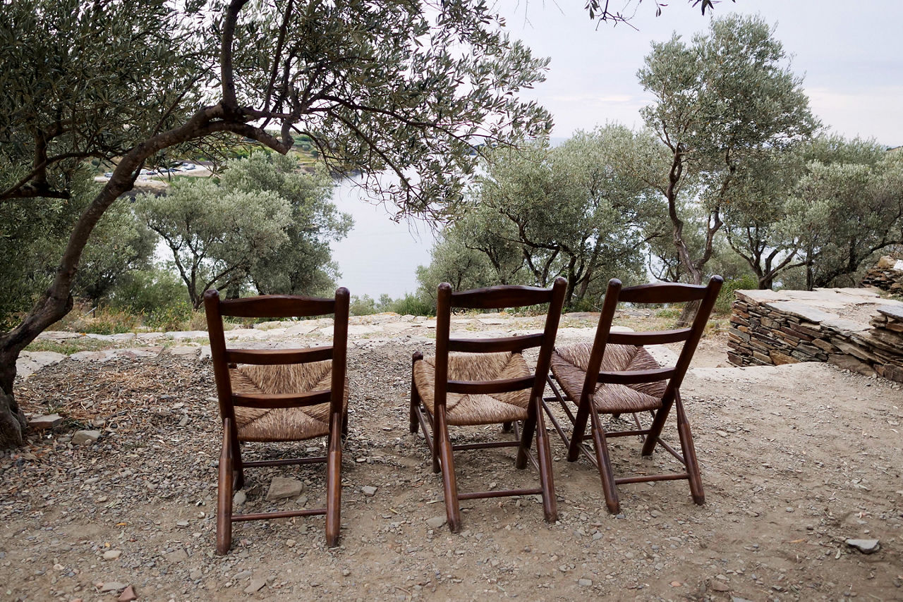 Three chairs in front of olive trees in the Salvador Dali Garden. Spain.