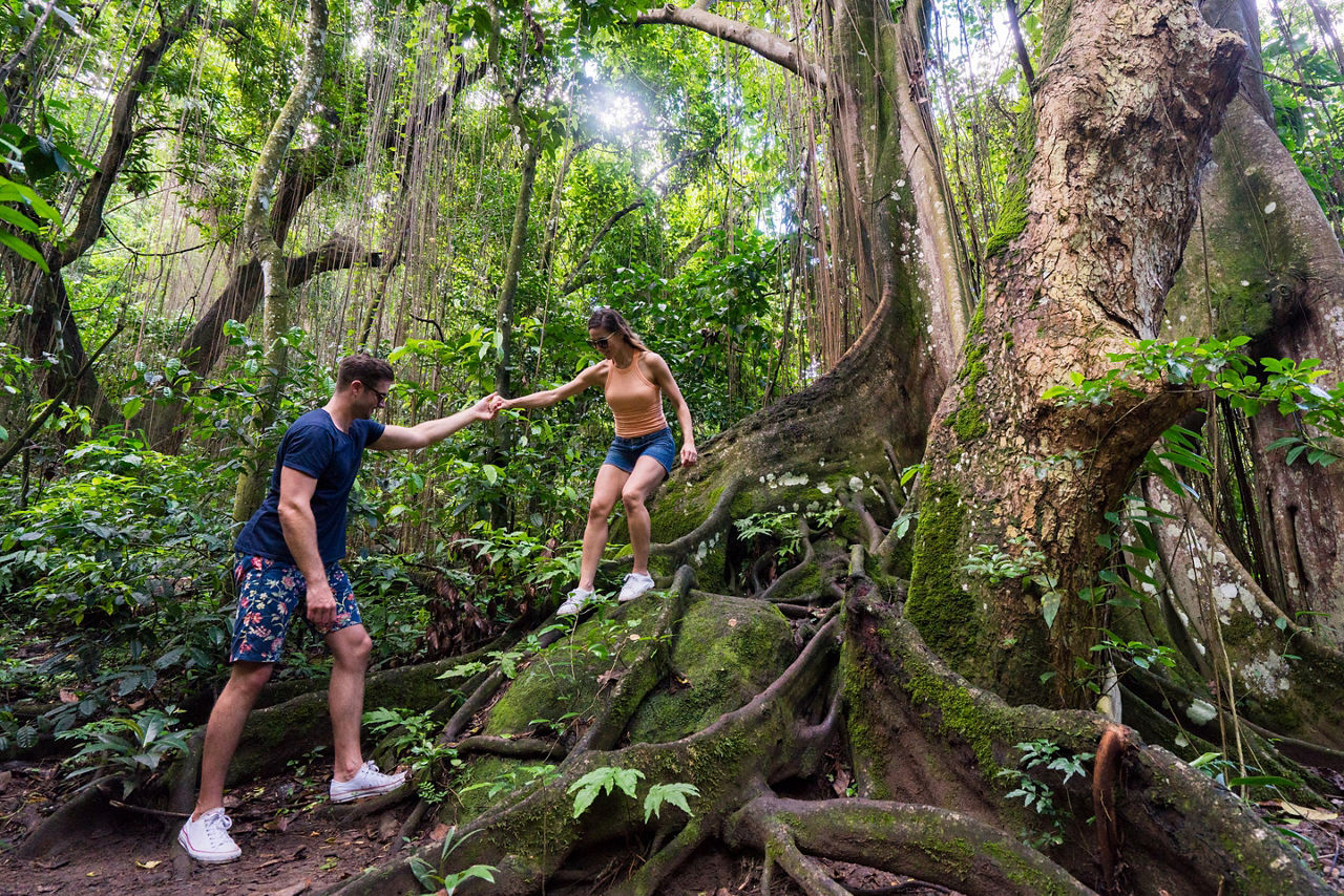 Couple Exploring the Rainforest, St. Kitts
