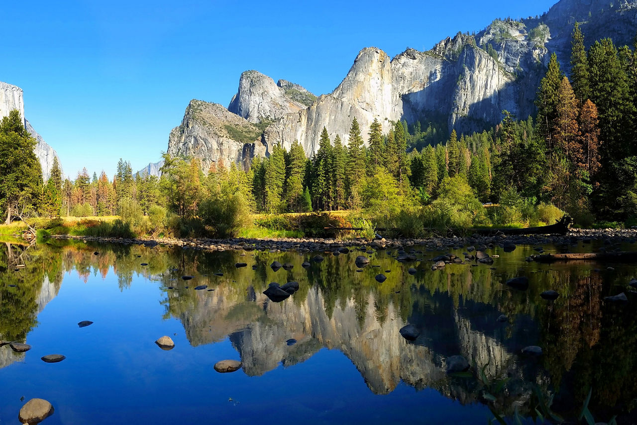 There's nothing better than camping on a sunny, clear day in Yosemite National Park.