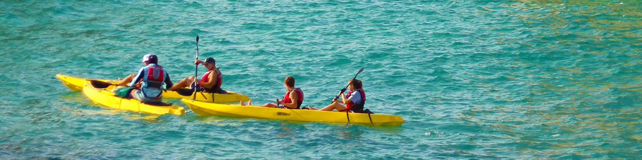 Kayak on a sea safari to Land's End, Cabo San Lucas