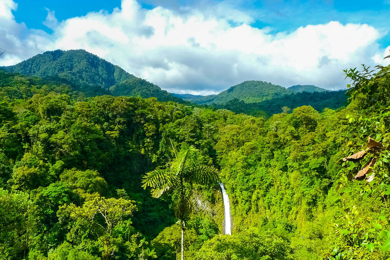 Take in the view of La Fortuna Waterfall from the observation platform.