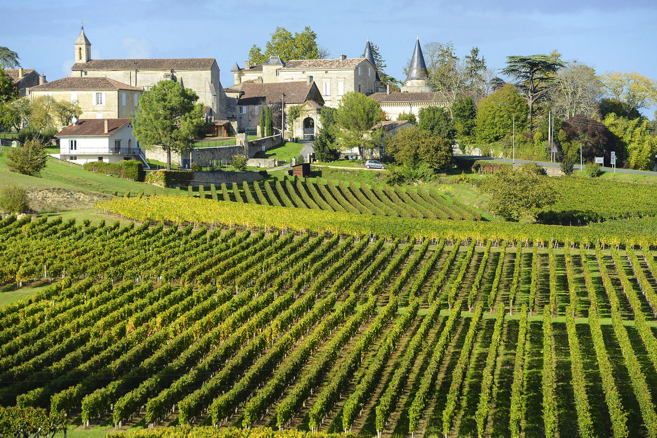 France Vineyards of Saint Emilion 