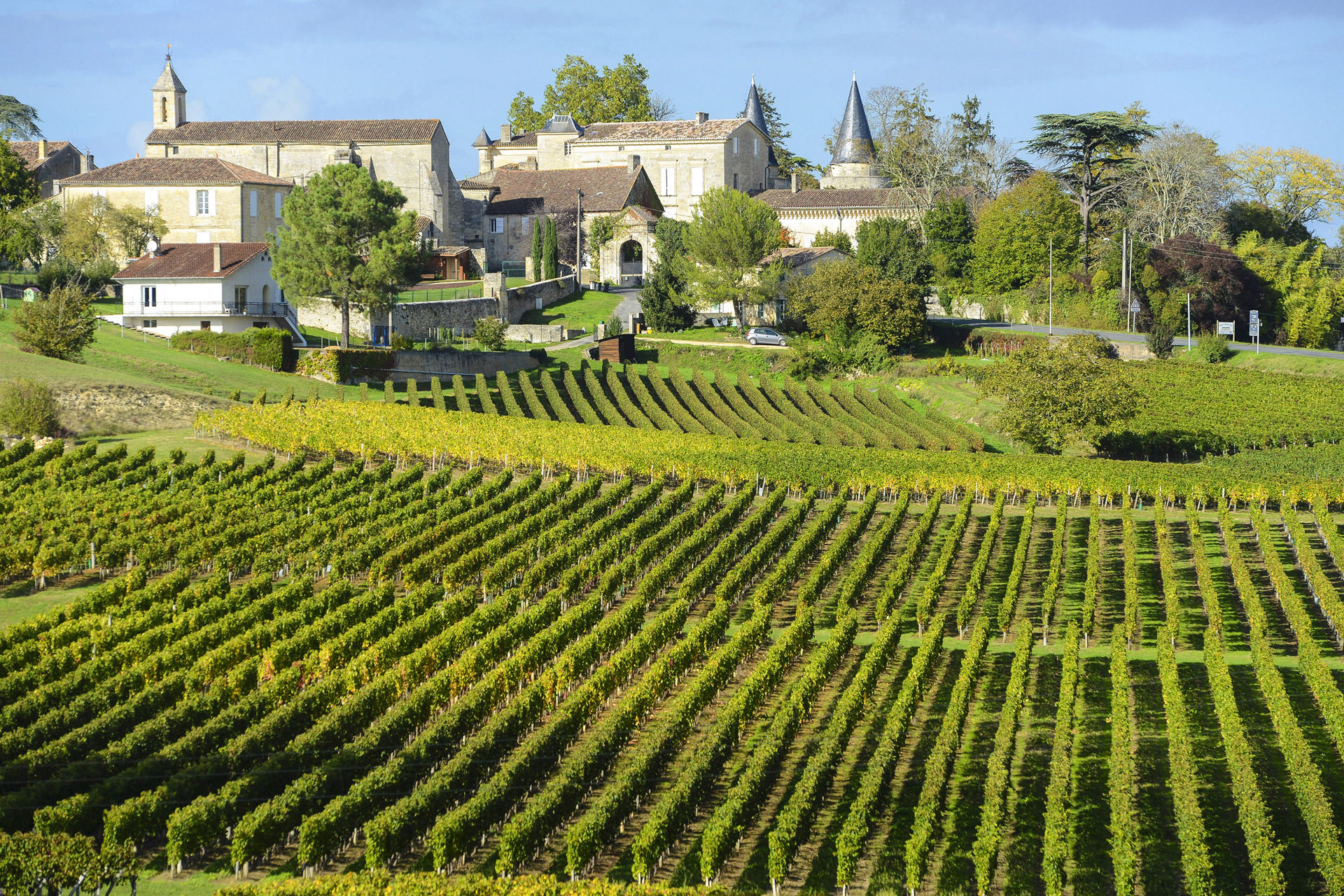france vineyards of saint emilion