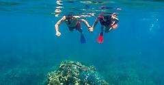 Cairns Australia Great Barrier Reef Couple Snorkeling