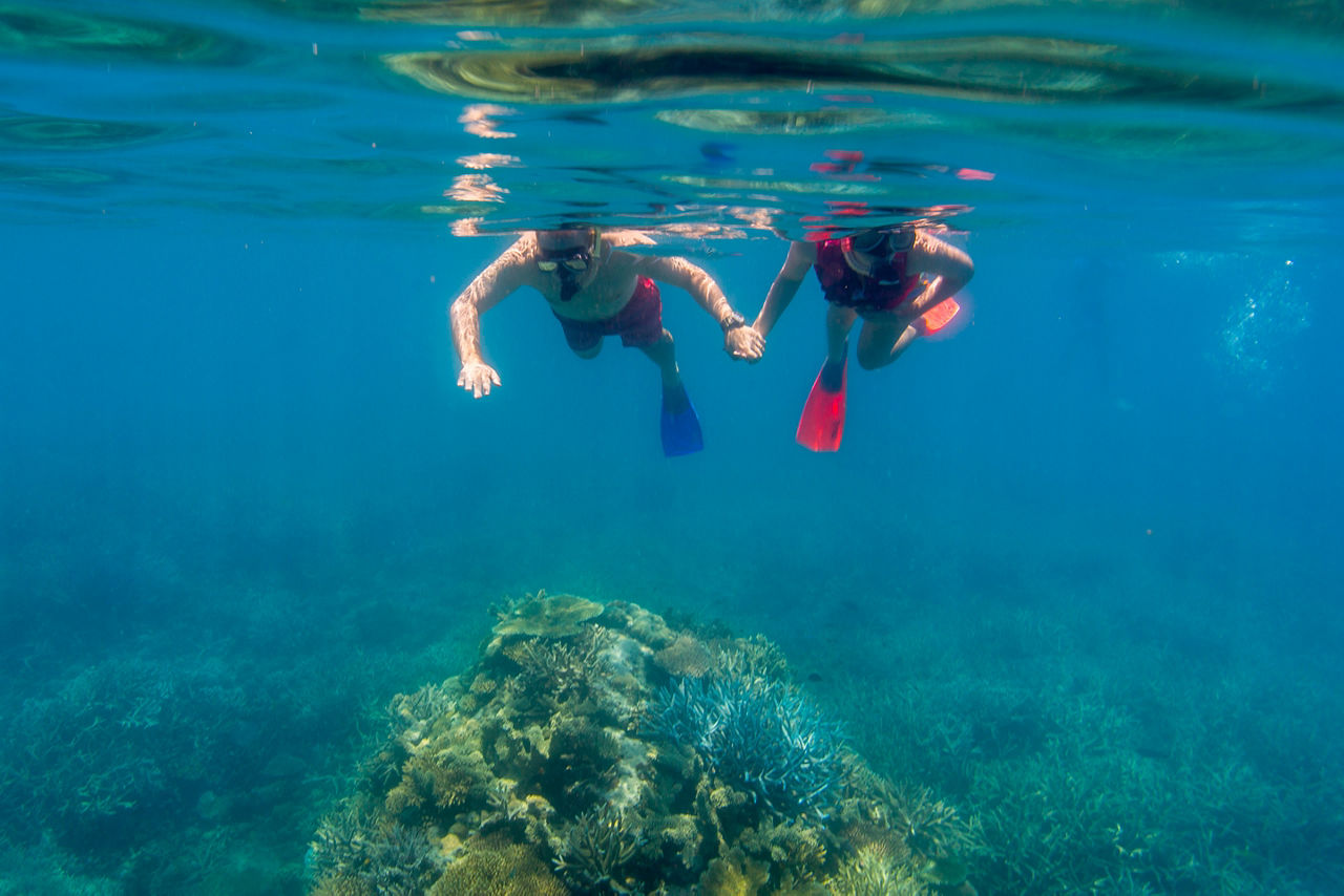 Cairns Australia Great Barrier Reef Couple Snorkeling
