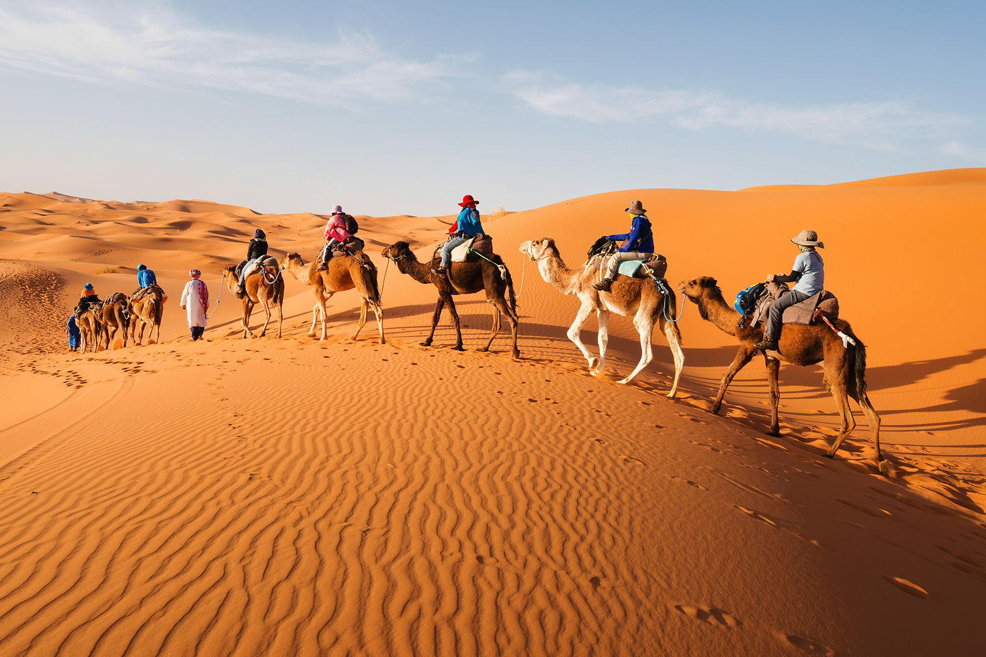 A camel caravan crosses golden Sahara dunes under bright sunlight and a clear desert sky. - Casablanca, Morocco