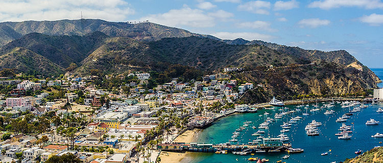 California Catalina Island Harbor Sunny Day