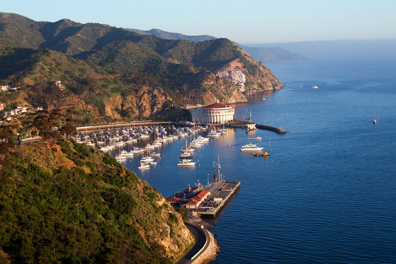 Aerial view of the seaside town of Avalon. Catalina Island, California.