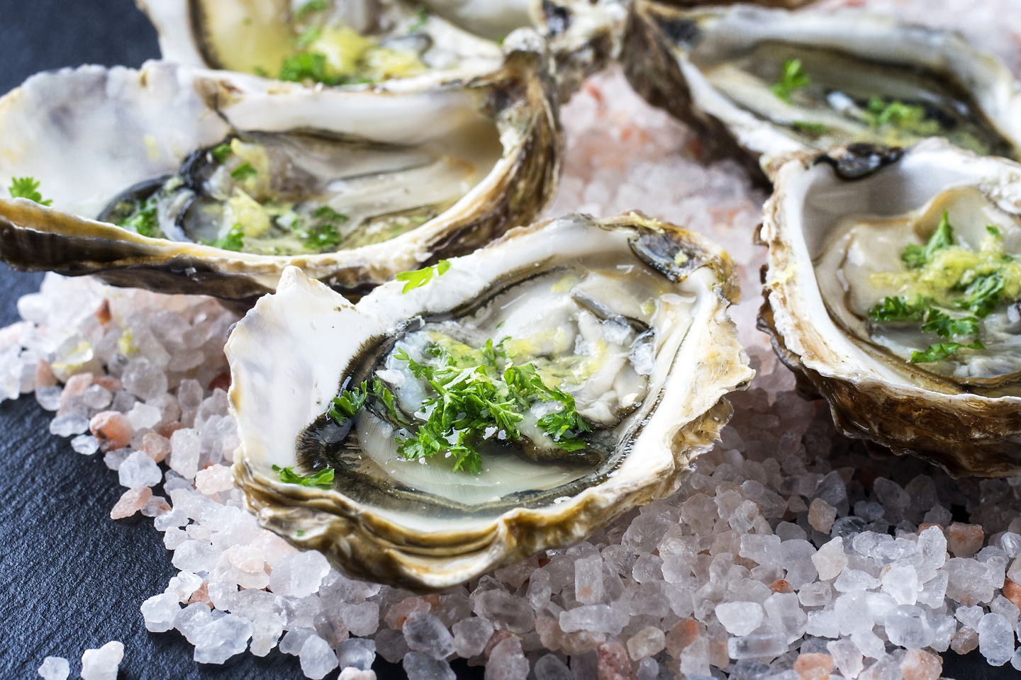 Fresh oyster. - Eden, Australia