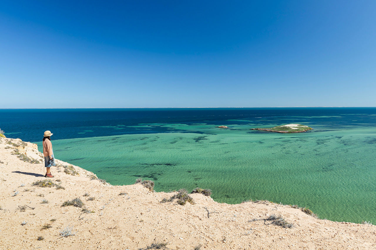  Beautiful water of Eagle Bluff, Denham, Shark Bay, Western Australia
