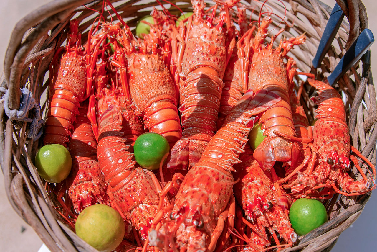 Succulent warm-water lobsters are just one example of the fresh-caught seafood you can enjoy in Fortaleza.