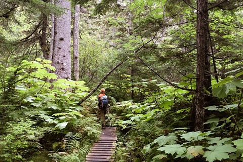 Top 7 Hiking Tours in Alaska: Unforgettable Adventures Await