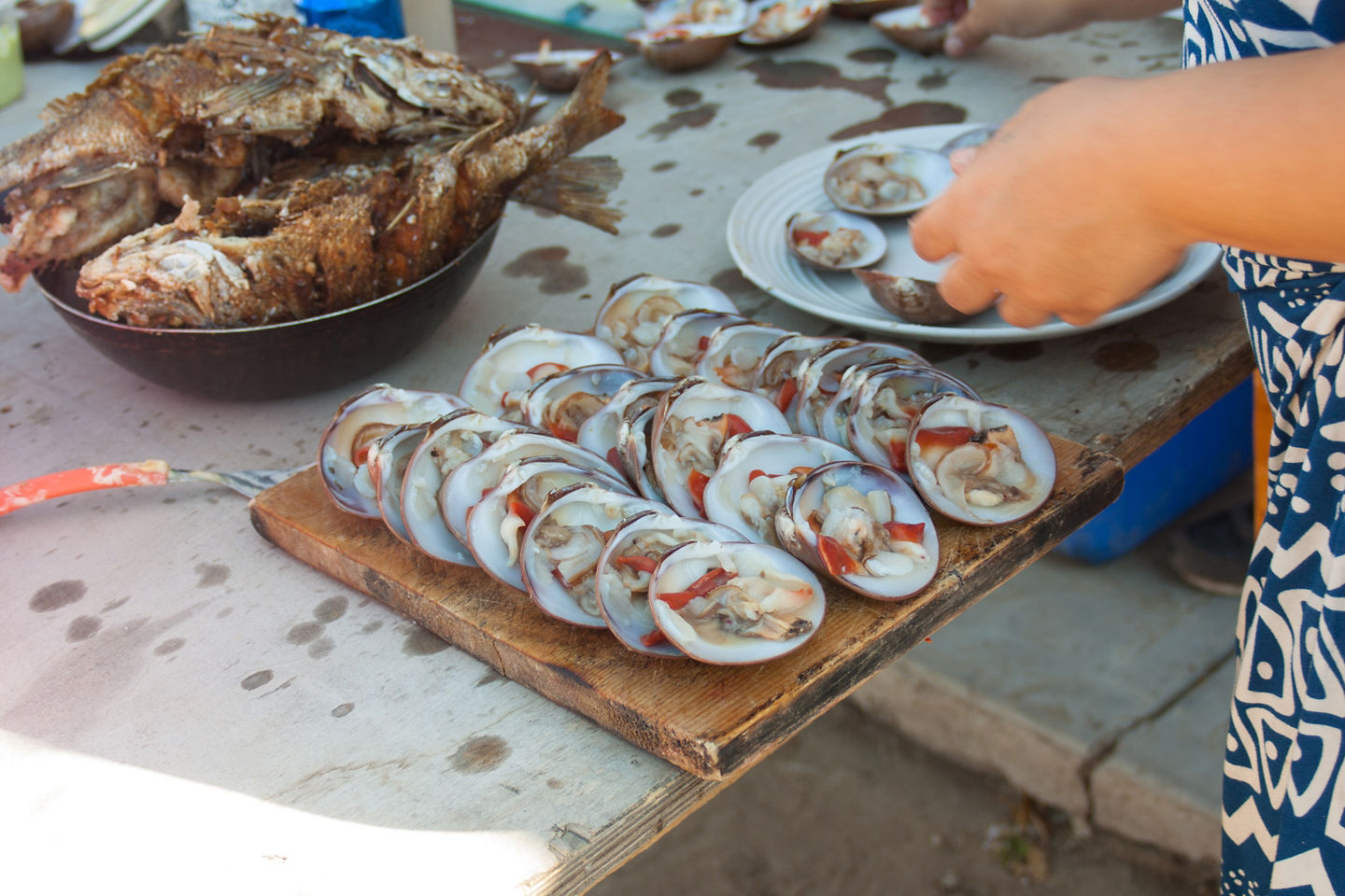Fresh La Paz seafood showcases vibrant shells, local catch, and coastal flavor. - La Paz, Mexico