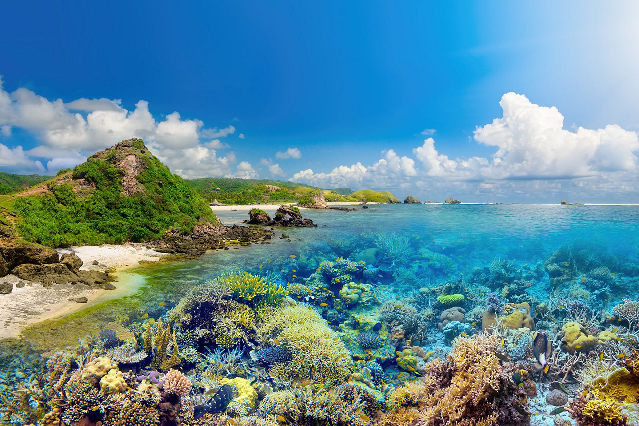 Beatiful Coral Reef around island Lombok, Indonesia
