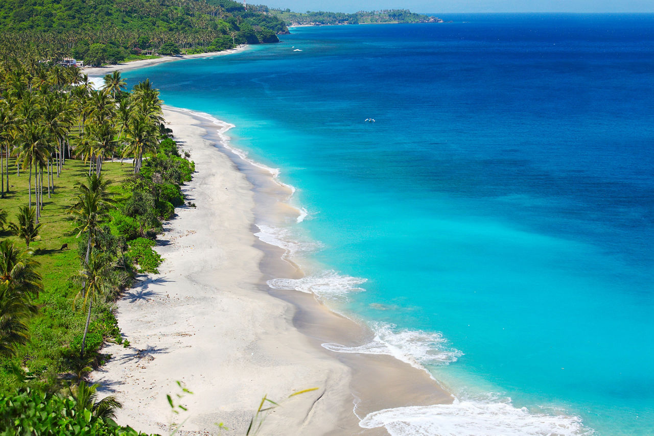 Tropical sandy beach with palm trees at sunny day. Lombok island, Indonesia