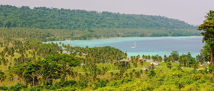 Forest and Coast of Luganville Vanuatu