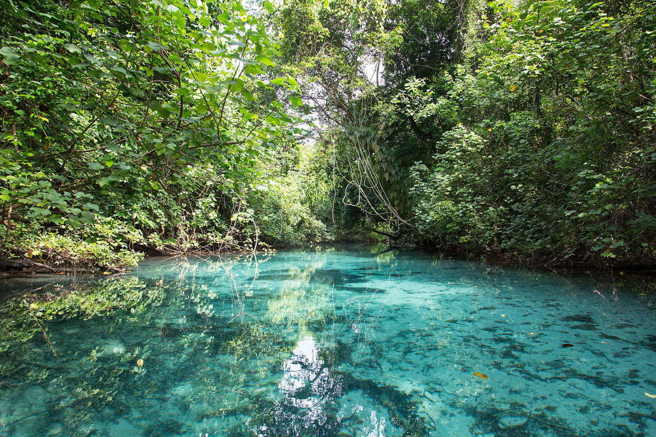 Crystal Clear Waters in Vanuatu's Blue Hole
