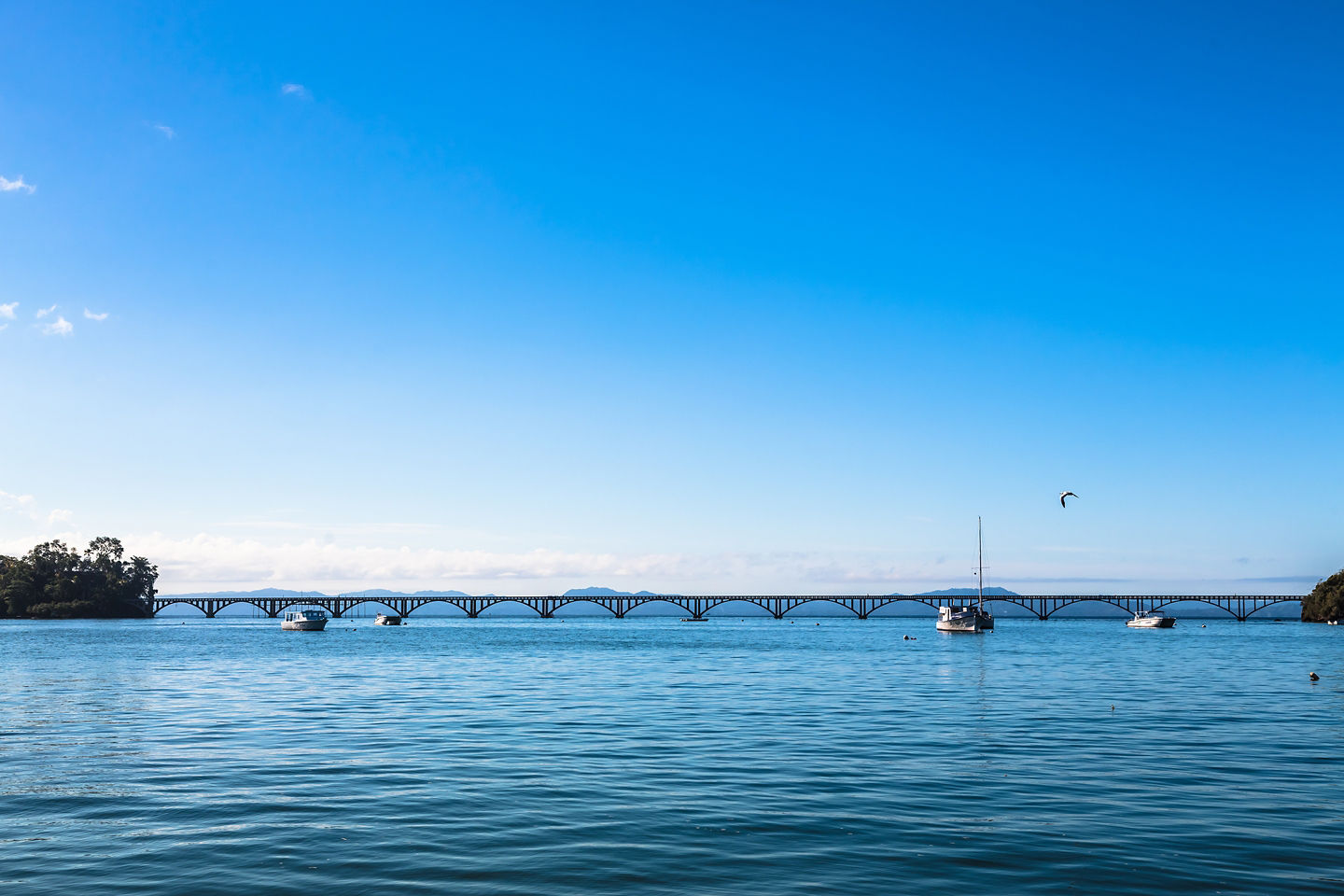 Winter in Samaná offers dry weather, whale watching, waterfalls, beaches, and prime outdoor excursions. - Samaná, Dominican Republic