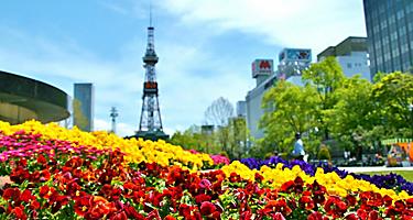 Colorful flowers in Odori Park in Sapporo, Japan