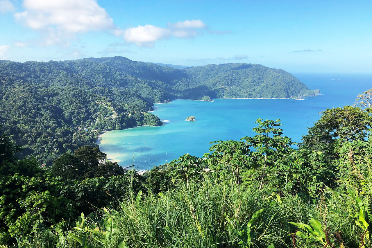 On top of Tobago island ocean view