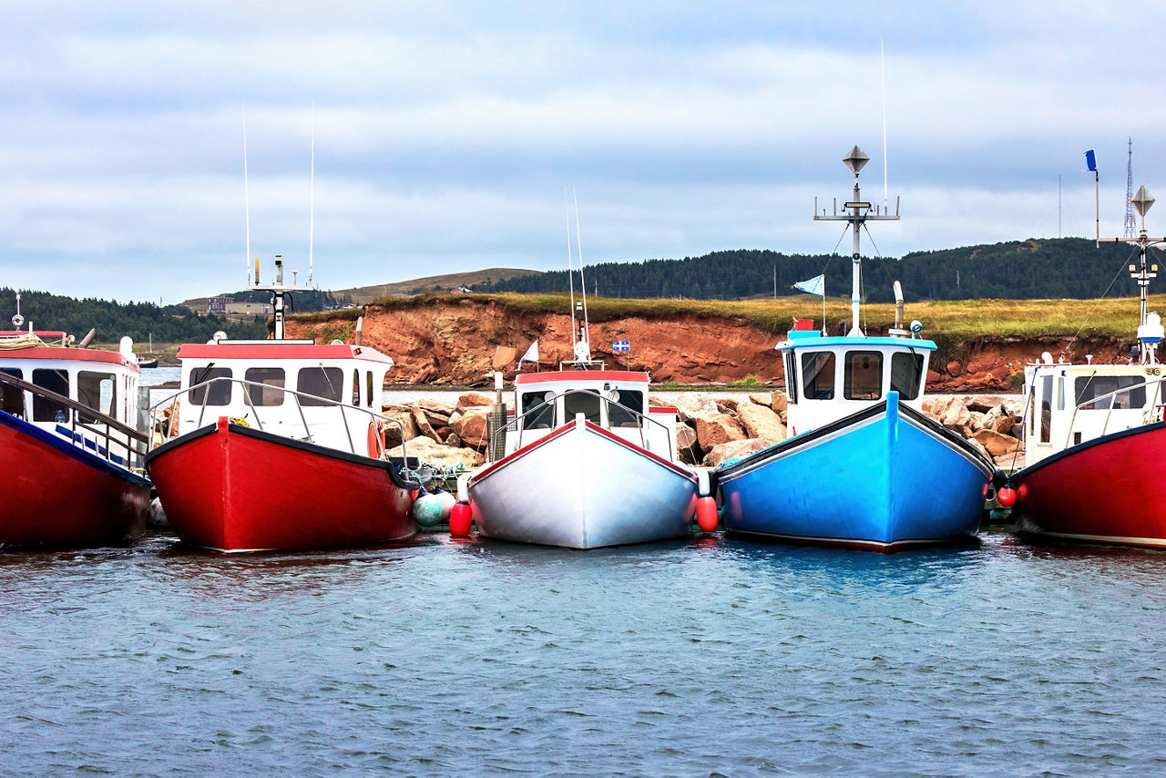 A row of colour fishing boats in the harbour of Havre Aubert, Magdalen Islands, Canada