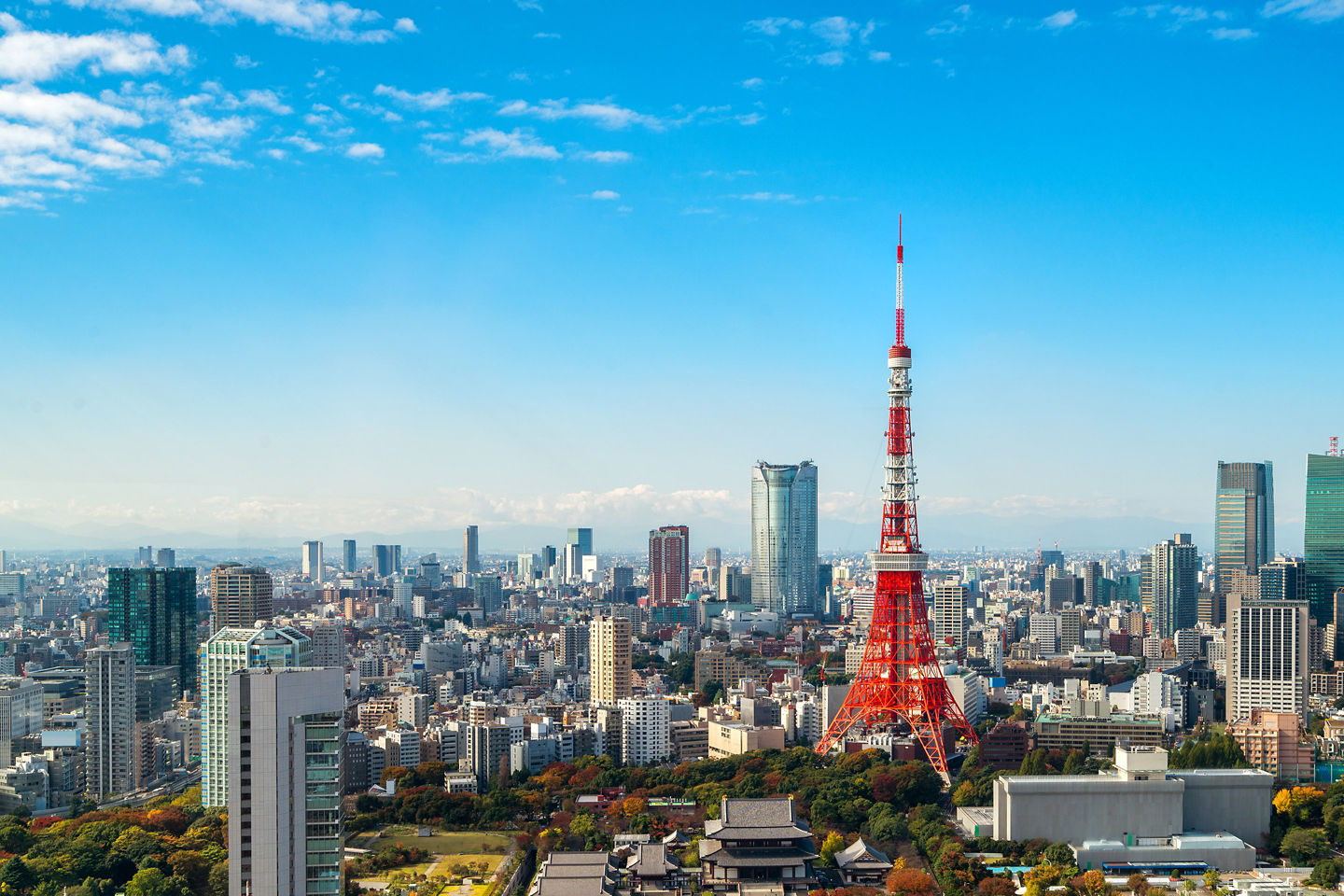 Tokyo Tower rises above cityscape. - Tokyo, Japan