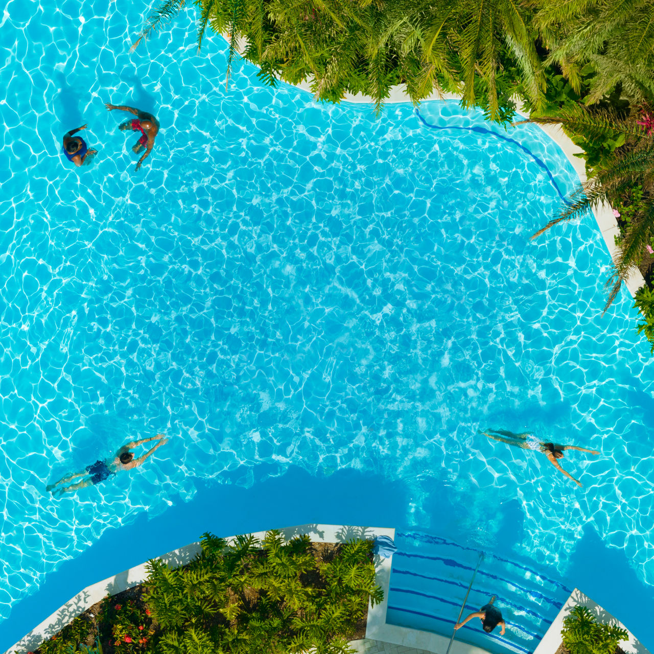 Pool at cococay Square 1050 1050 NF 2x
