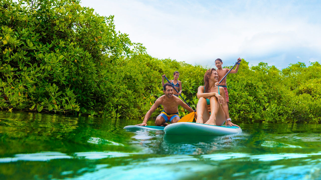 Family Paddle Boarding on Vacation HP Jumbotron 1920 1080 FAM NF 2x