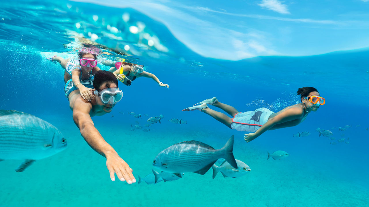 Family Underwater HP Jumbotron 1920 1080 FAM NF 2x