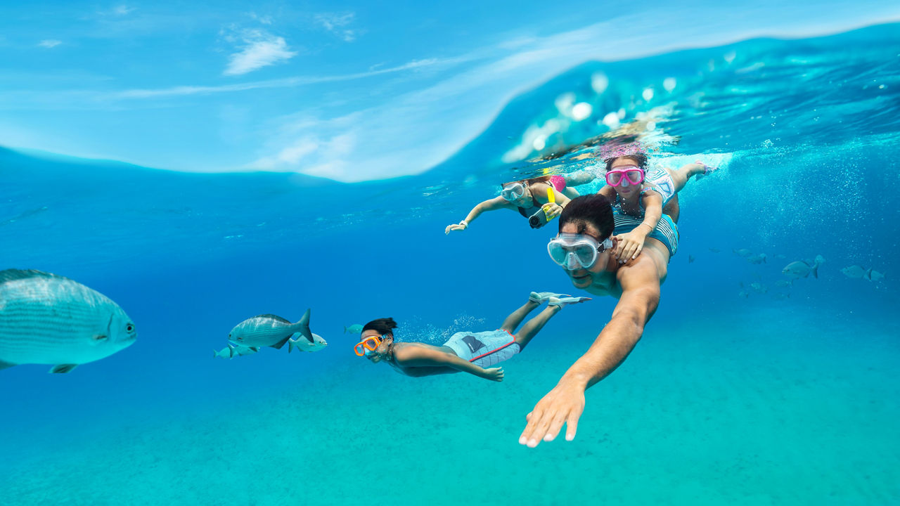 Family of four snorkeling in turquoise waters