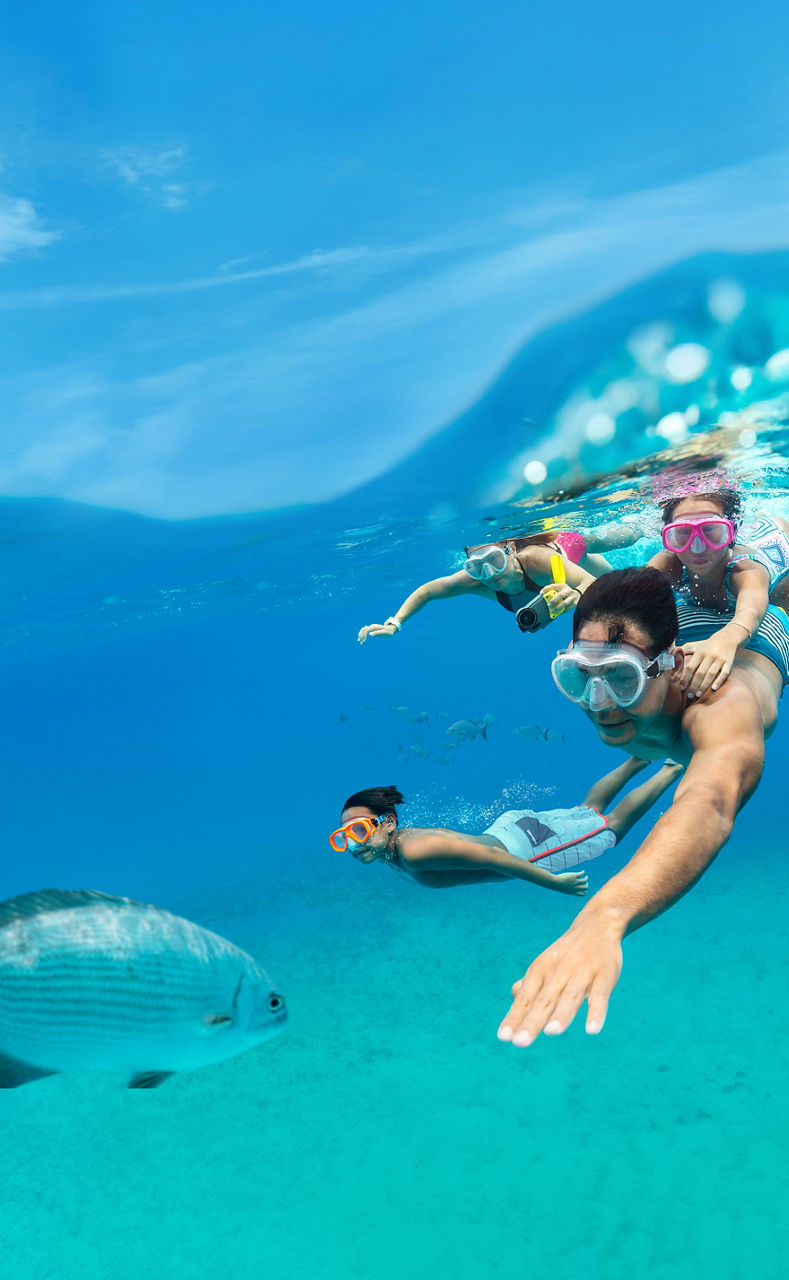 Family of four snorkeling in turquoise waters