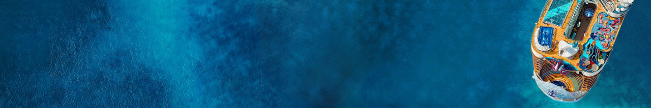 Top aerial view of Wonder of the Seas