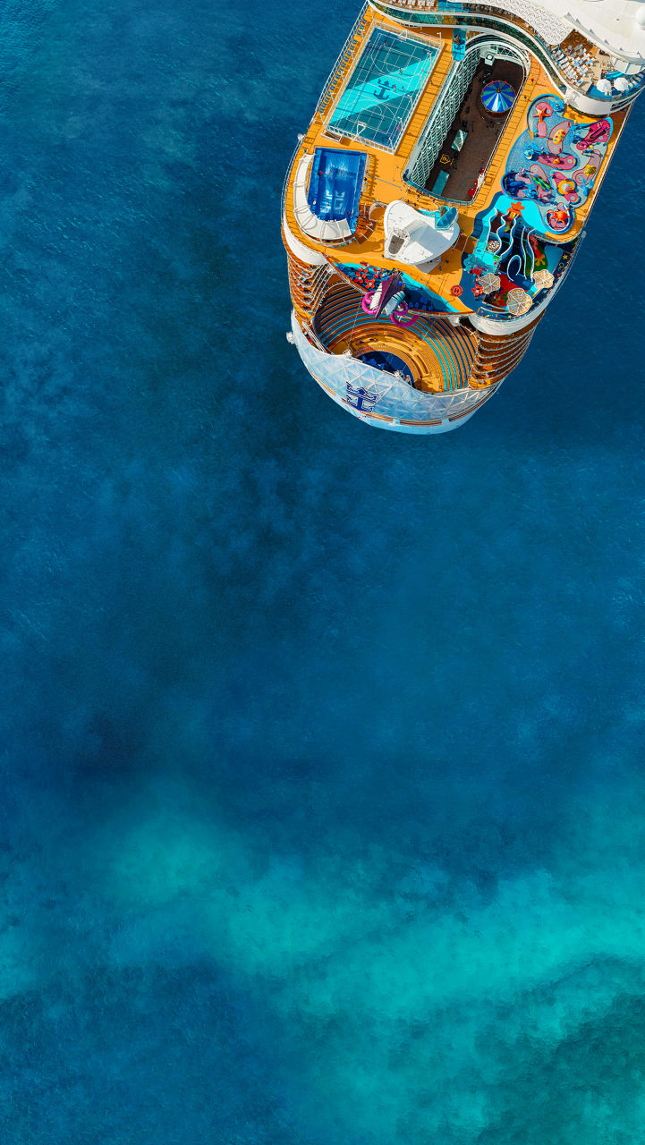 Top aerial view of Wonder of the Seas