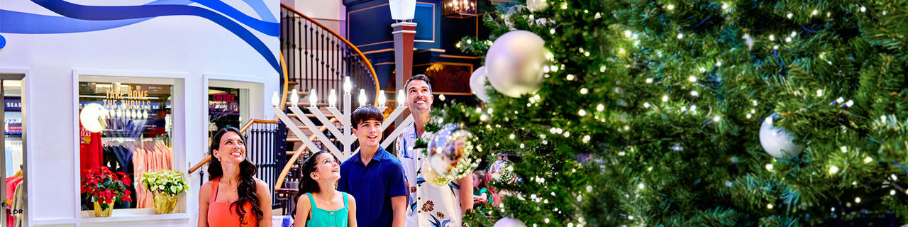 family appreciating holiday season royal promenade 1920 480