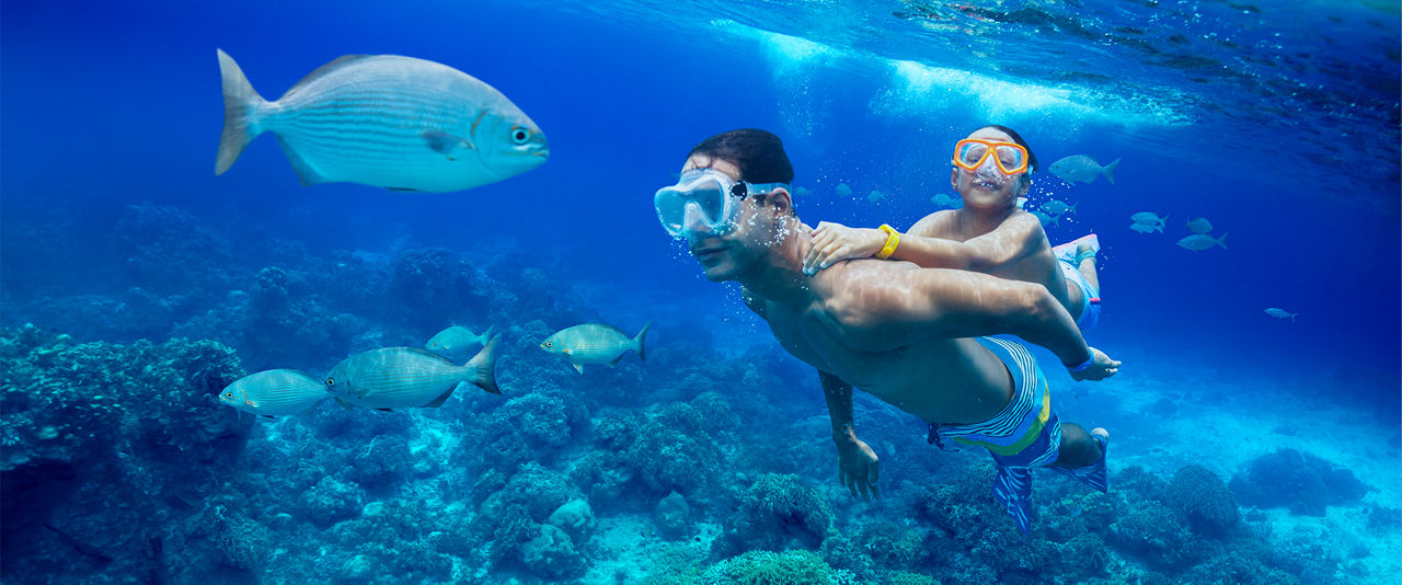 Dad and Son Snorkeling in Cozumel, Mexico | HP