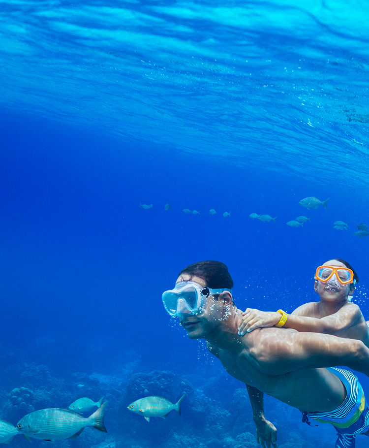 Dad and Son Snorkeling in Cozumel, Mexico | Mobile HP