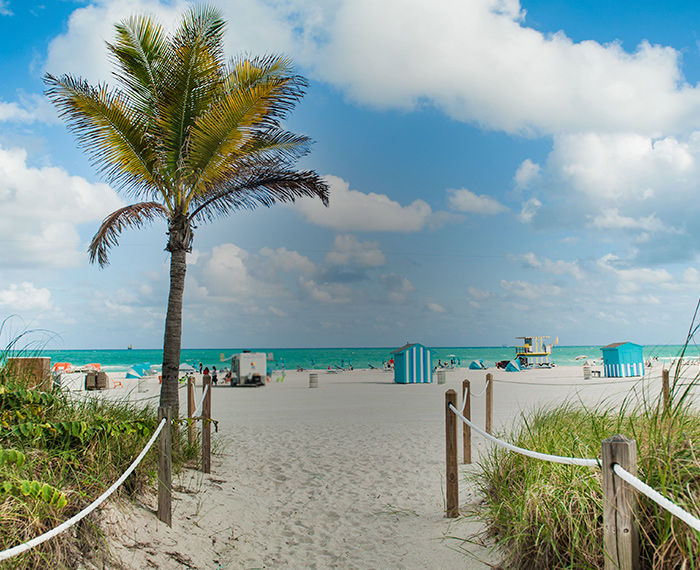 Miami Beach | Bucket