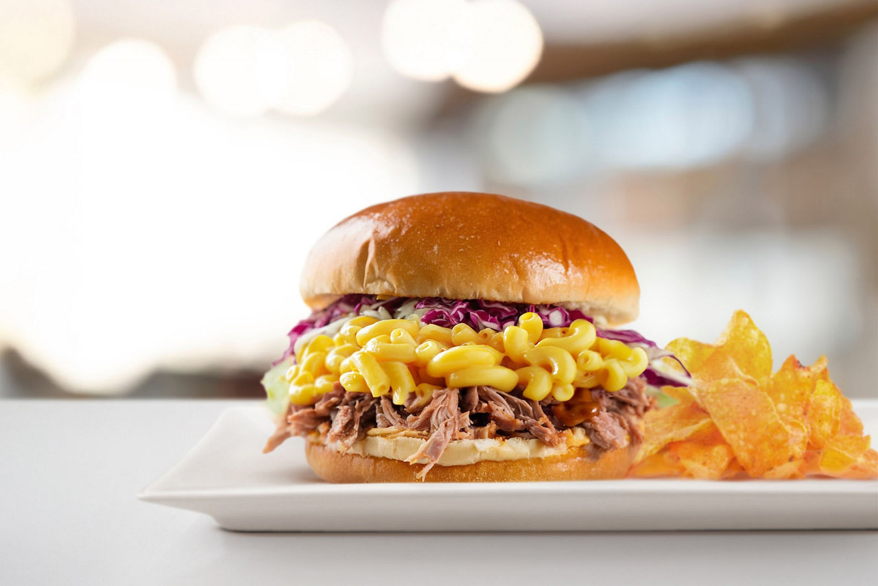 AquaDome BBQ Sandwich with chips on the side