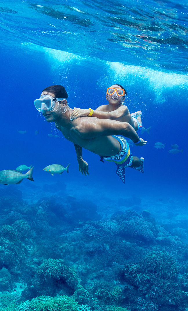 Dad and Son snorkelling under the water in Cozumel, Mexico