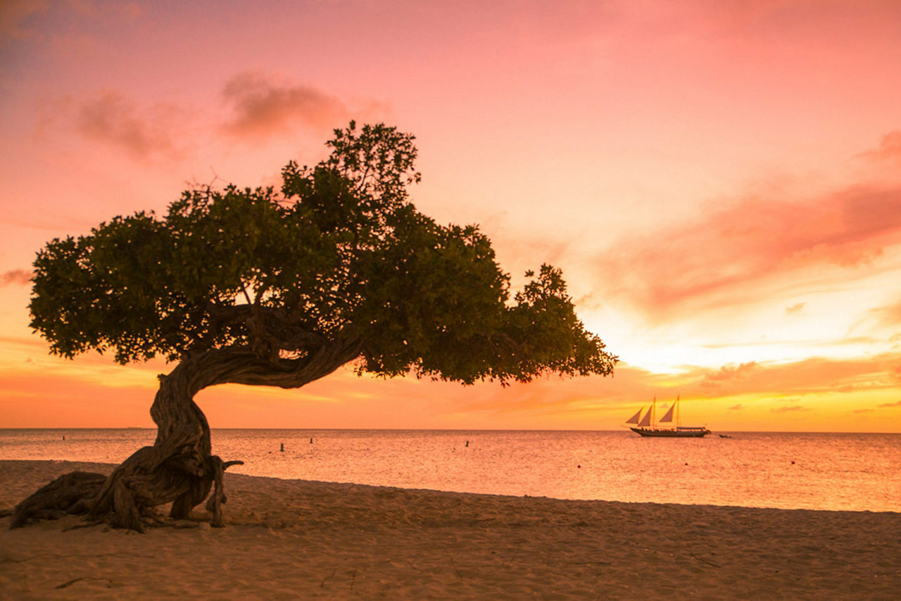 Aruba Sunset 