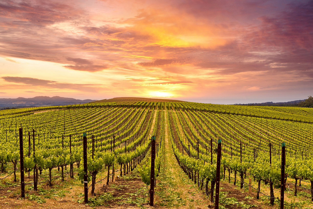 sunset sky in Napa Valley Wine Country. California.