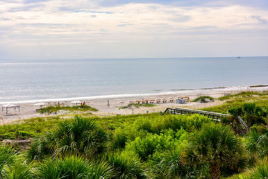 jacksonville florida amelia island summer beach