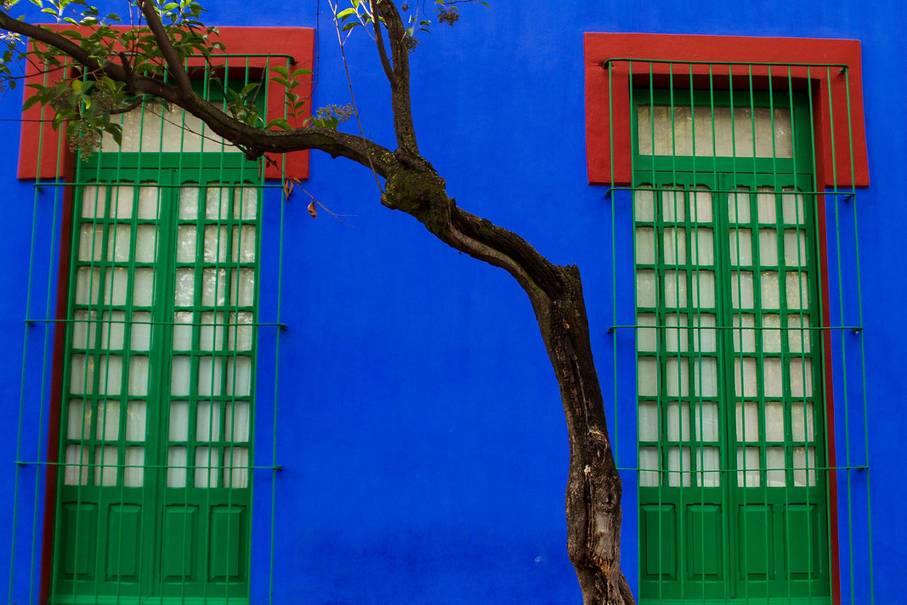 Kahlo's Childhood Home, Casa Azul, is now a Museum in Mexico City