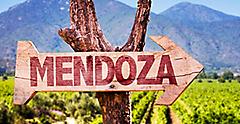 Mendoza wooden sign with winery background. South America.