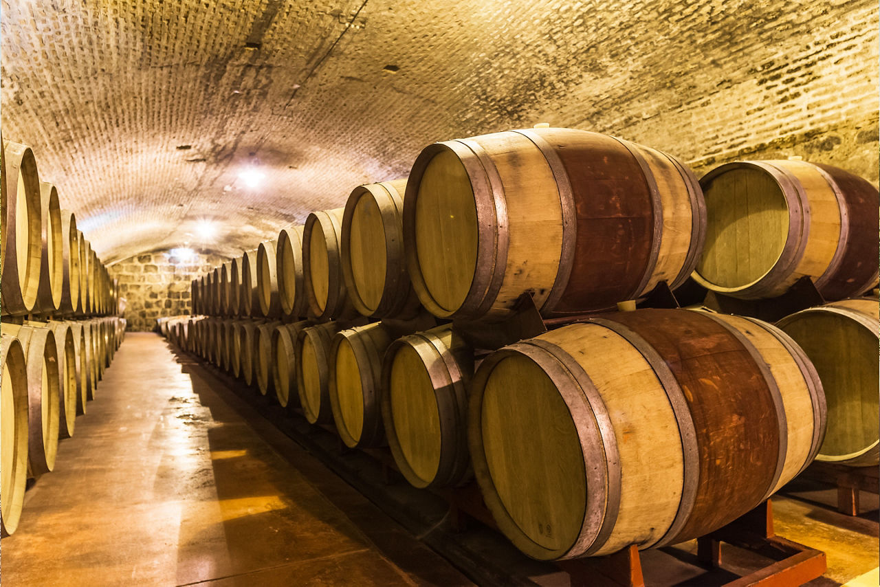 Oak wine barrels for wine fermentation at a winery. South America.