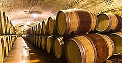 Oak wine barrels for wine fermentation at a winery. South America.