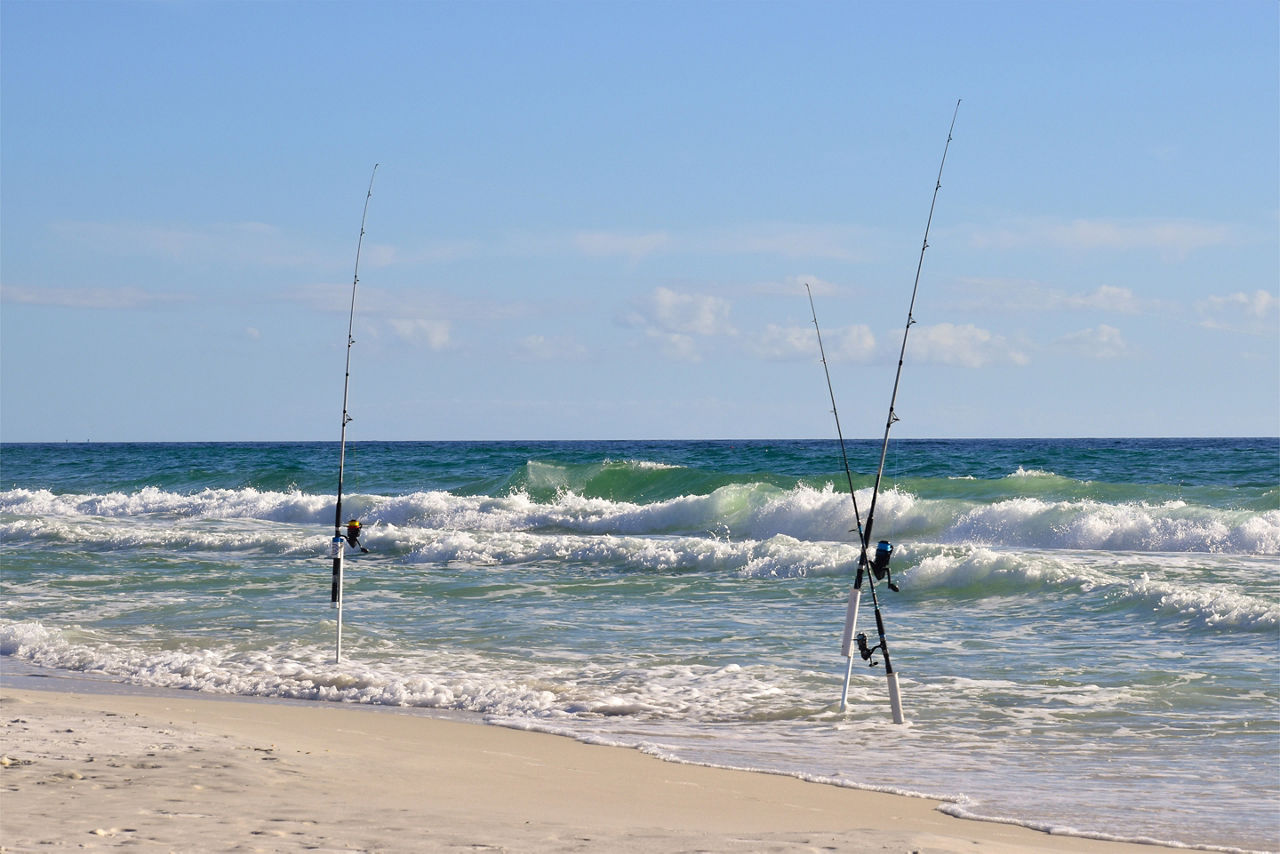 beach fishing on the west coast. Florida.