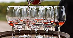 glasses of rose wine being poured at Argentinian winery. South America.