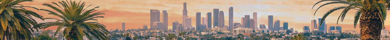 los angeles city skyline downtown palm search